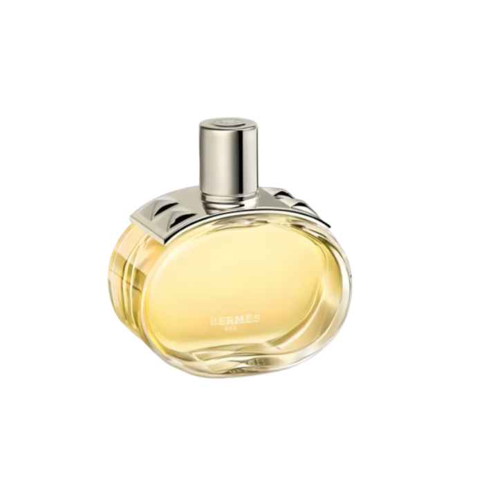 Hermes Barenia - Image 1