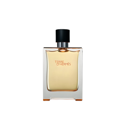 Hermes Terre d Hermes EDT