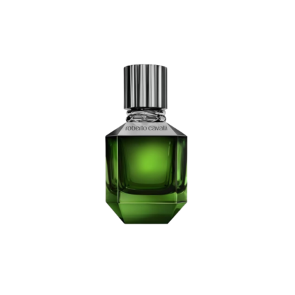 Roberto Cavalli Paradise Found For Men